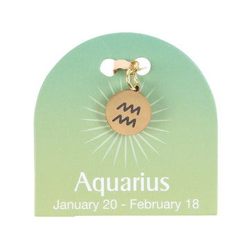 AQUARIUS GOLD TONE ZODIAC SIGN CHARM