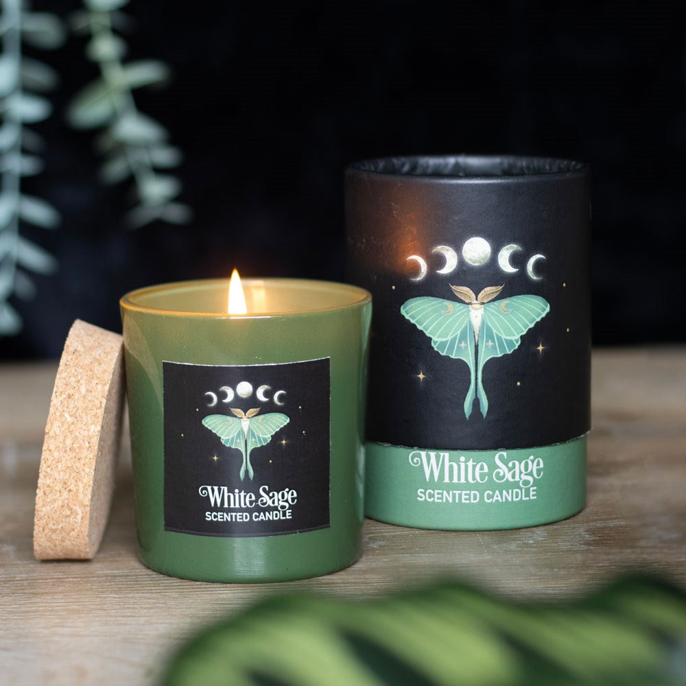 LUNA MOTH WHITE SAGE CANDLE