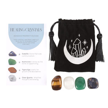 UCCESS HEALING CRYSTAL SET WITH MOON TRINKET DISH