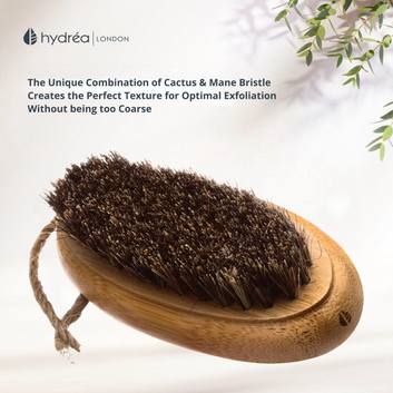 HYDREA LONDON BAMBOO HAND + NAIL BRUSH WITH CACTUS + MANE BRISTLE