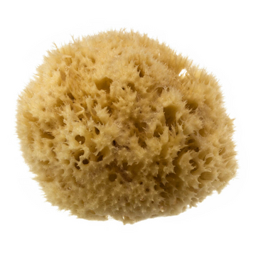 HYDREA LONDON NATURAL HONEYCOMB SEA SPONGE – SIZE 4-4.5″