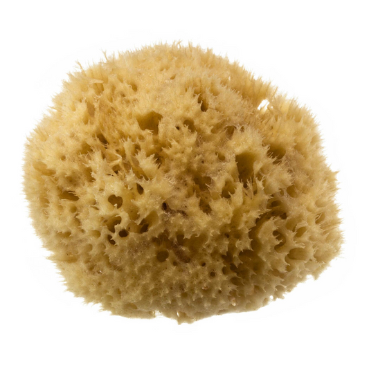 HYDREA LONDON NATURAL HONEYCOMB SEA SPONGE – SIZE 4-4.5″