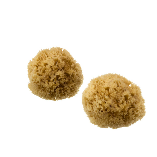 HYDREA LONDON PREMIUM HONEYCOMB SEA SPONGE SET – BABY BATHING – SIZE 2.5-3″
