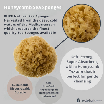 HYDREA LONDON PREMIUM HONEYCOMB SEA SPONGE SET – BABY BATHING – SIZE 2.5-3″