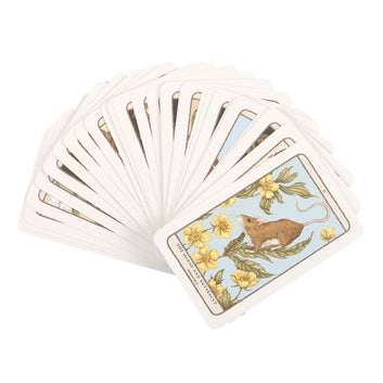 WOODLAND WARDENS ORACLE CARDS
