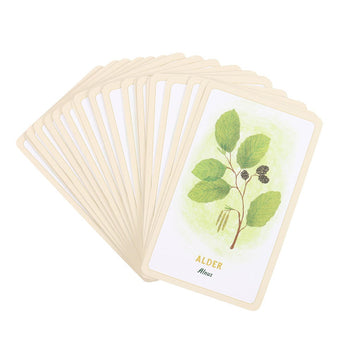 FOREST MAGIC ORACLE CARDS