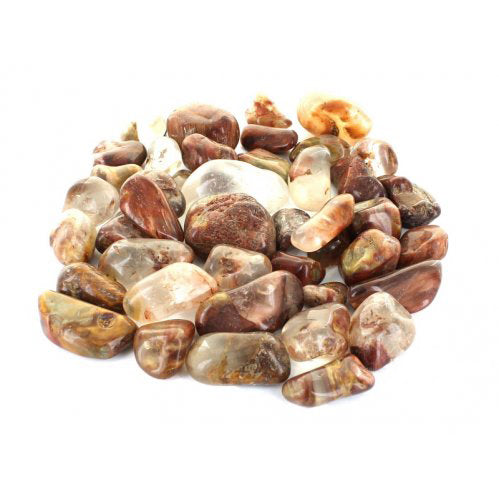 Quartz, Amphibole