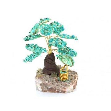 Chrysocolla Moyogi Tree