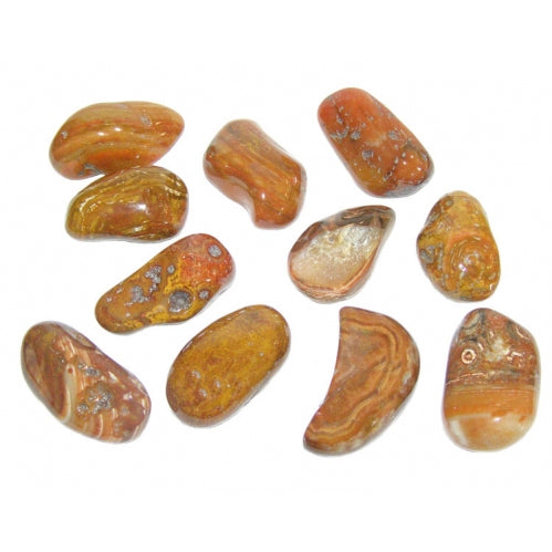 Petrified Wood Pebble